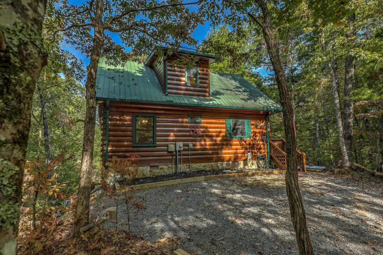 Golden Eagle Ga Cabin - Hot Tub, Firepit & Fast Wifi Blue Ridge Bagian luar foto